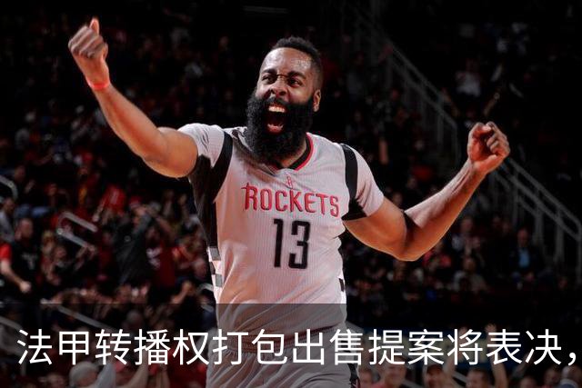 法甲转播权打包出售提案将表决，自营平台年入不足9000万欧
